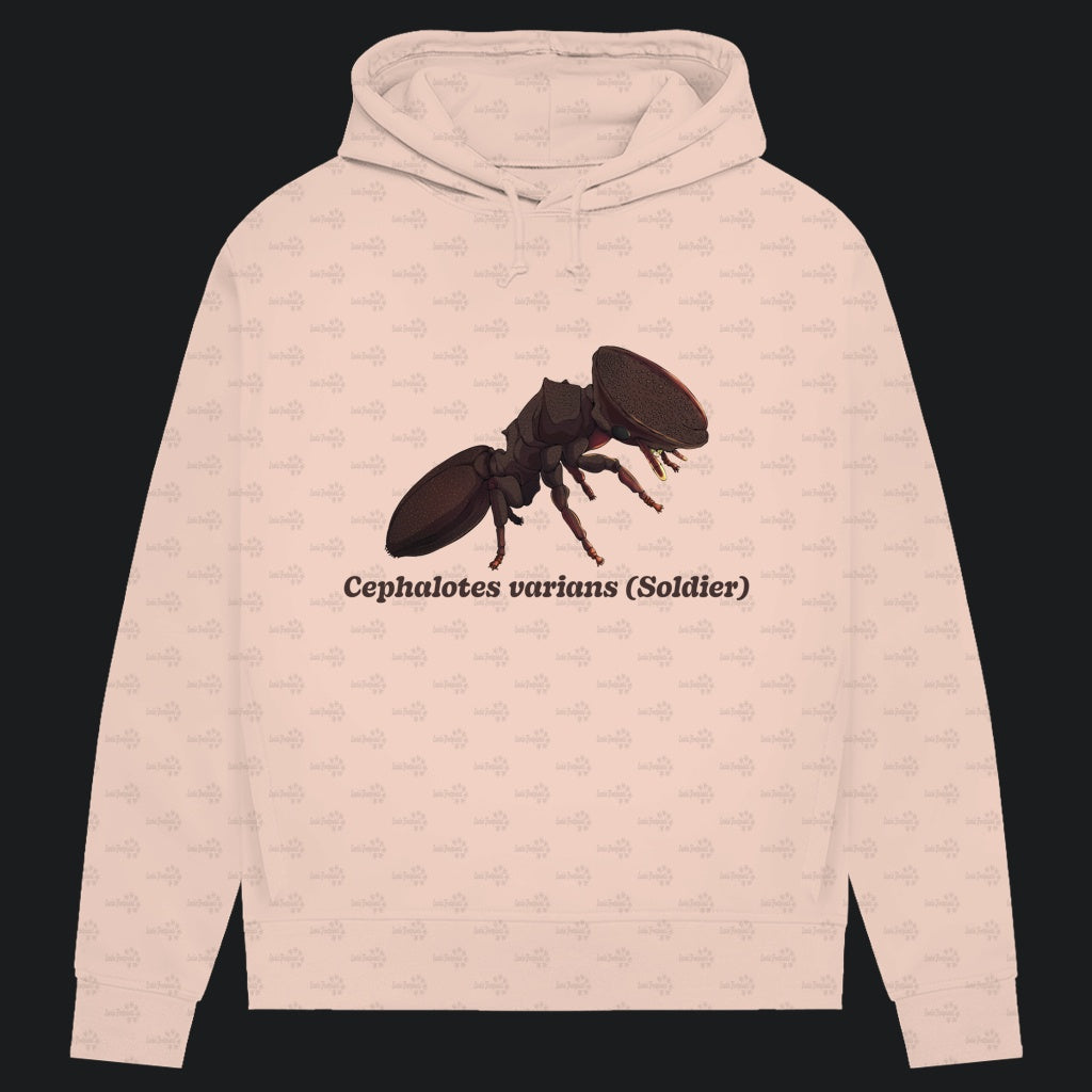 Damen Bio Hoodie mit Seitentaschen | Schildkrötenameise Cephalotes varians soldier