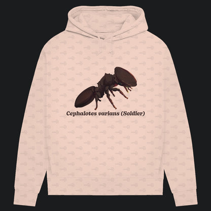 Damen Bio Hoodie mit Seitentaschen | Schildkrötenameise Cephalotes varians soldier