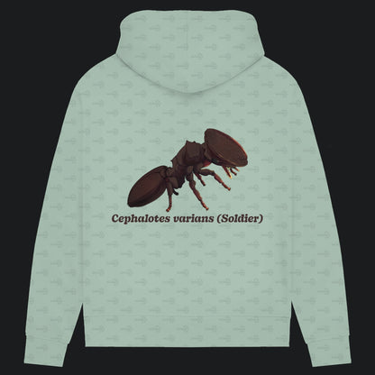 Damen Bio Hoodie mit Seitentaschen | Schildkrötenameise Cephalotes varians soldier