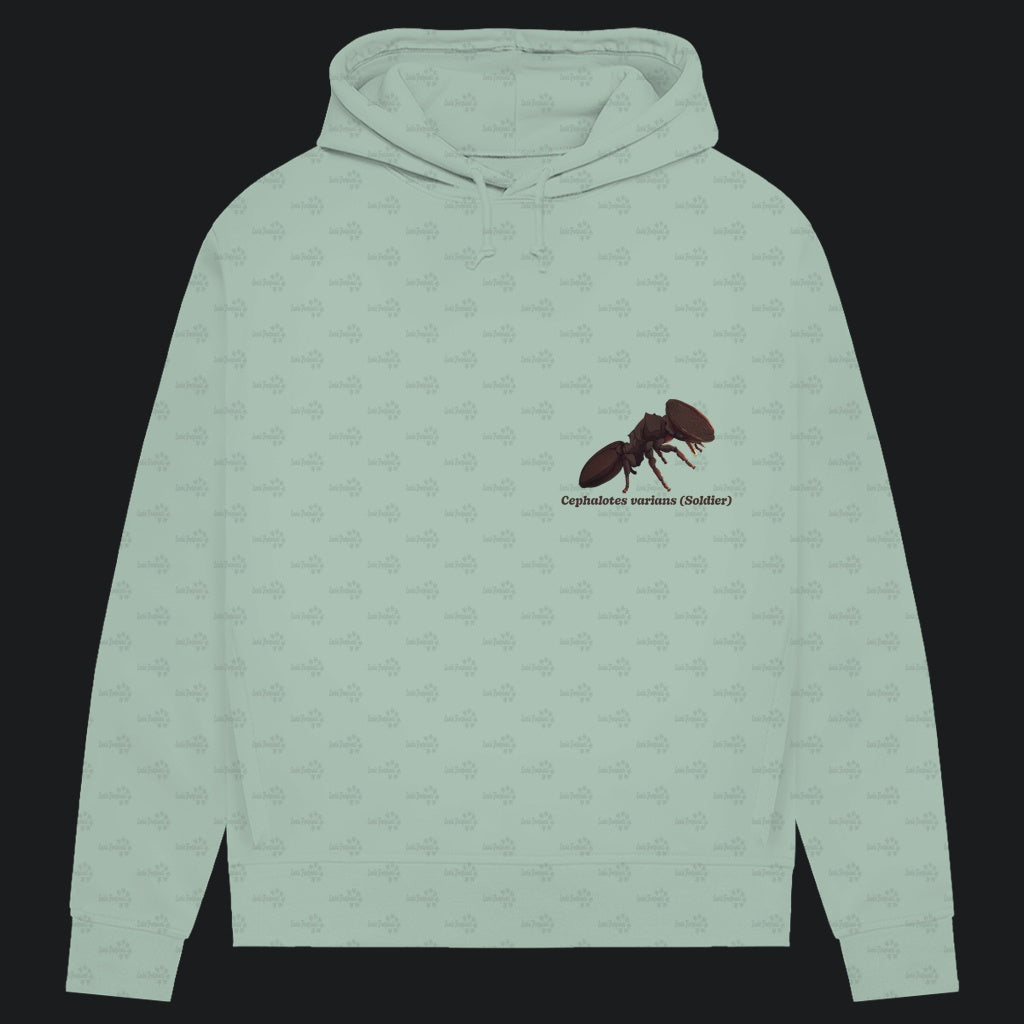Damen Bio Hoodie mit Seitentaschen | Schildkrötenameise Cephalotes varians soldier