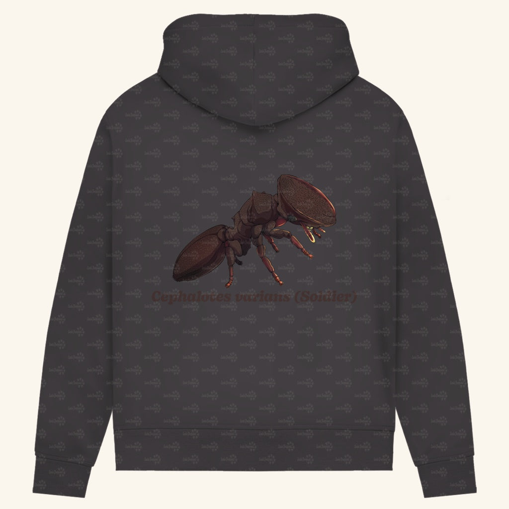 Damen Bio Hoodie mit Seitentaschen | Schildkrötenameise Cephalotes varians soldier