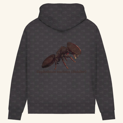 Damen Bio Hoodie mit Seitentaschen | Schildkrötenameise Cephalotes varians soldier