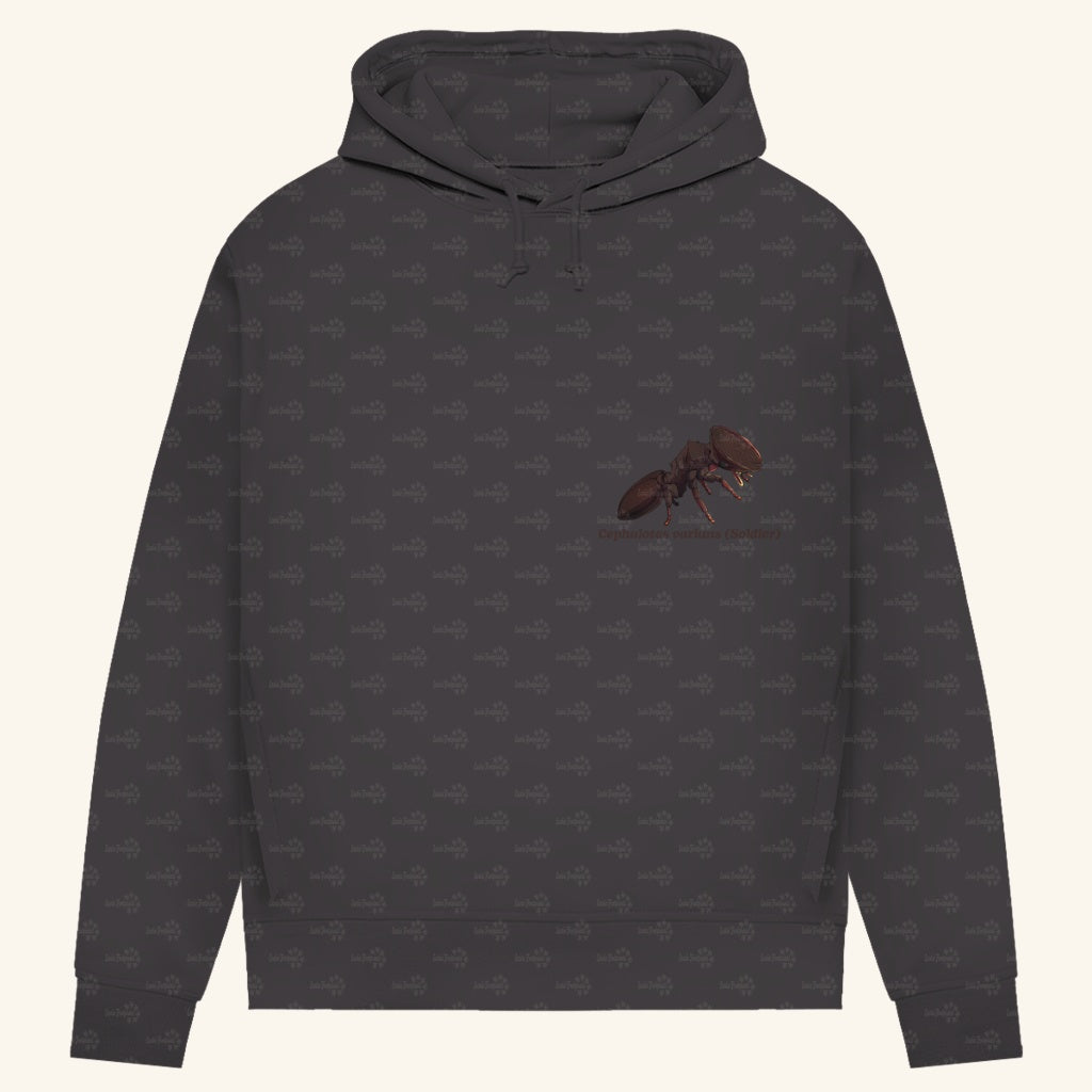 Damen Bio Hoodie mit Seitentaschen | Schildkrötenameise Cephalotes varians soldier