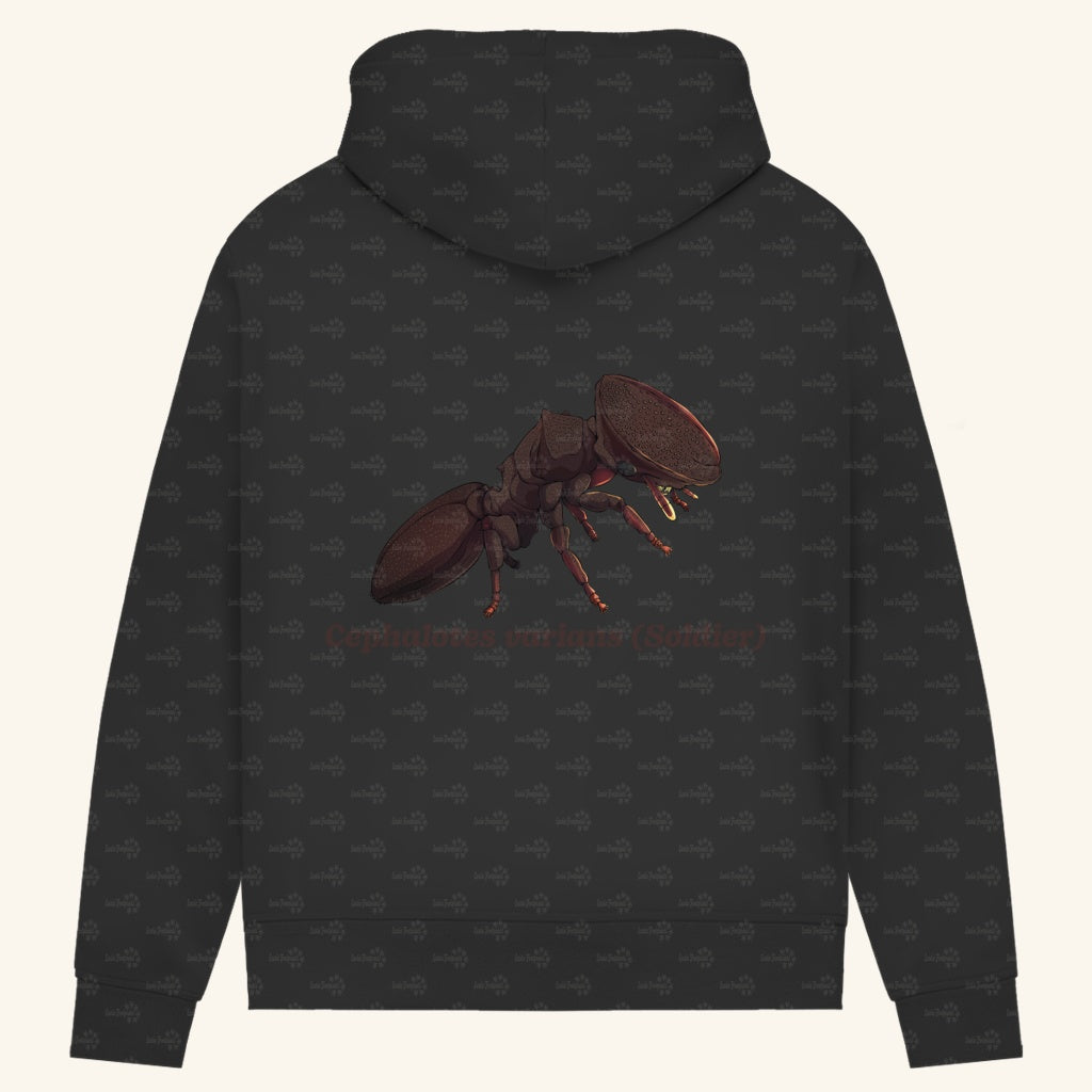 Damen Bio Hoodie mit Seitentaschen | Schildkrötenameise Cephalotes varians soldier