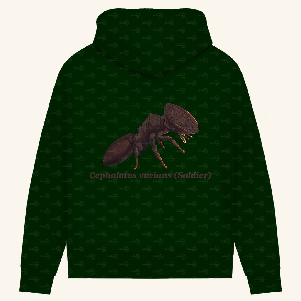Damen Bio Hoodie mit Seitentaschen | Schildkrötenameise Cephalotes varians soldier