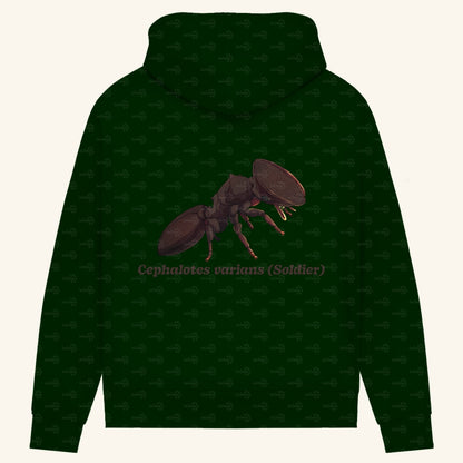 Damen Bio Hoodie mit Seitentaschen | Schildkrötenameise Cephalotes varians soldier