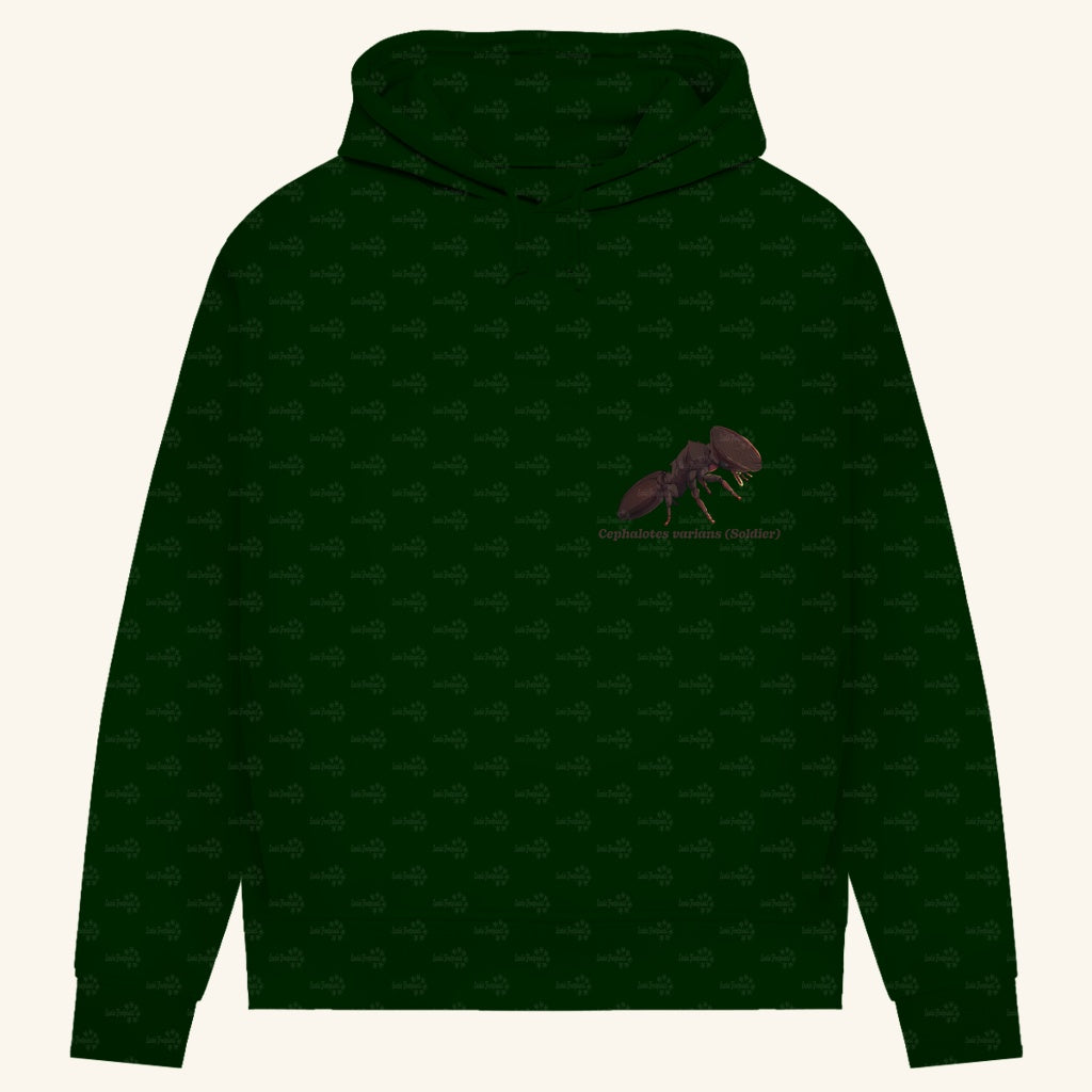 Damen Bio Hoodie mit Seitentaschen | Schildkrötenameise Cephalotes varians soldier