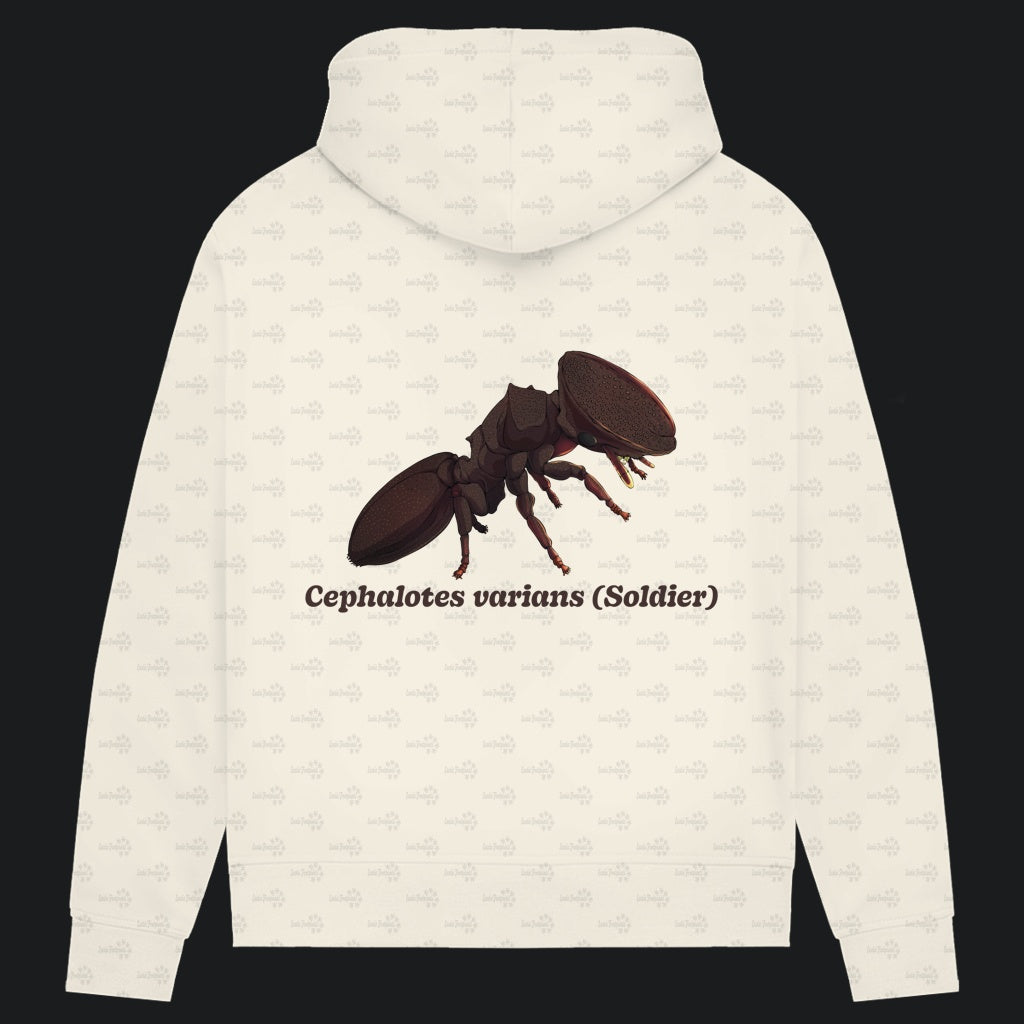 Damen Bio Hoodie mit Seitentaschen | Schildkrötenameise Cephalotes varians soldier