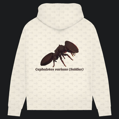 Damen Bio Hoodie mit Seitentaschen | Schildkrötenameise Cephalotes varians soldier