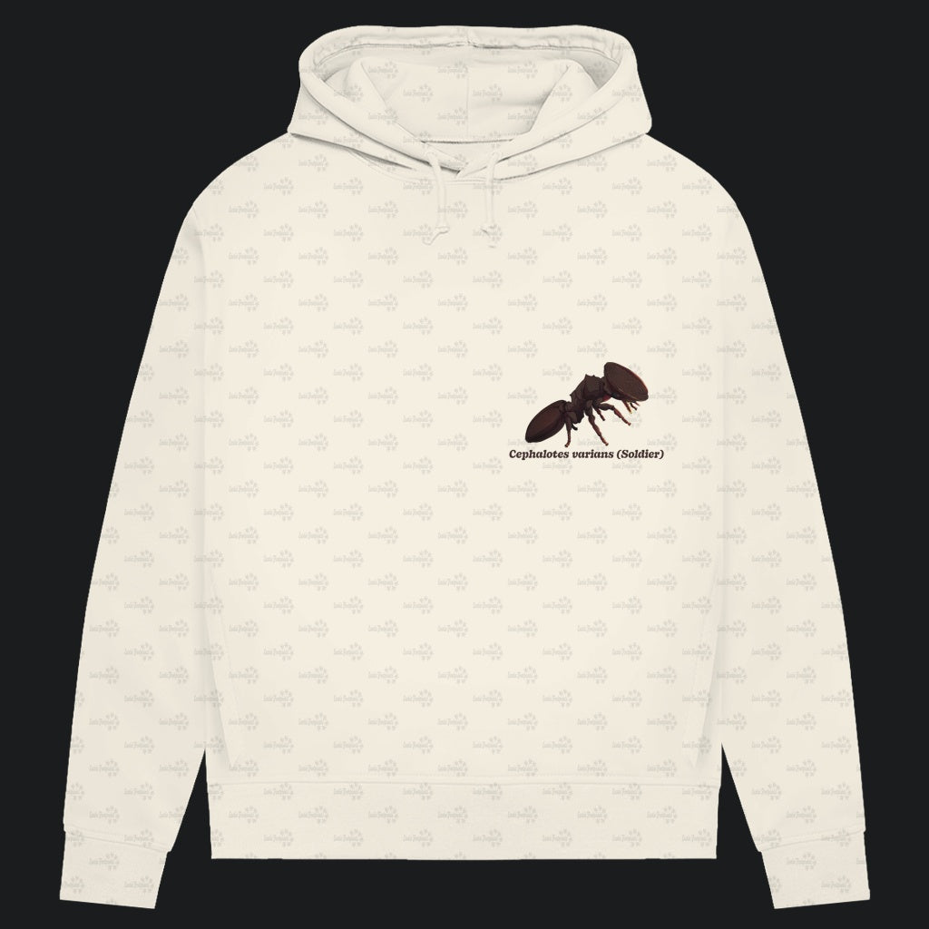Damen Bio Hoodie mit Seitentaschen | Schildkrötenameise Cephalotes varians soldier