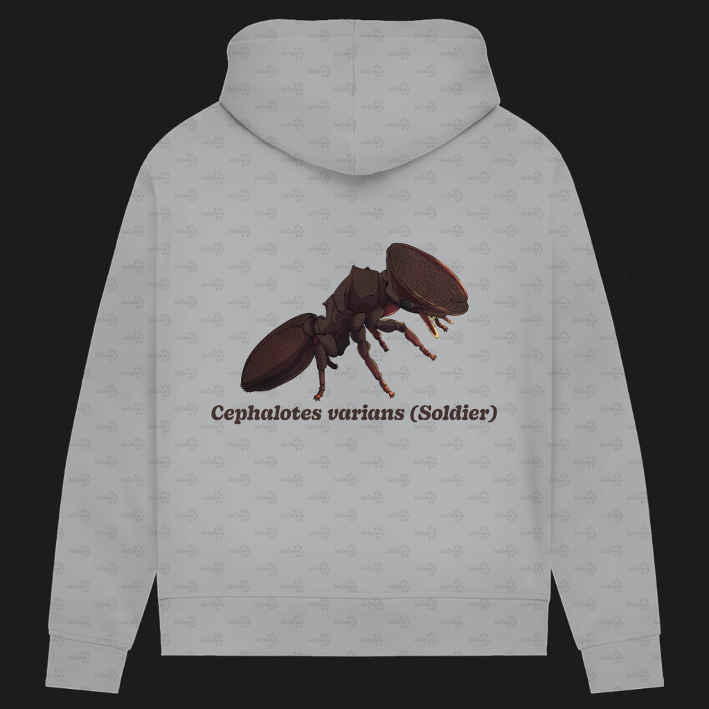 Damen Bio Hoodie mit Seitentaschen | Schildkrötenameise Cephalotes varians soldier