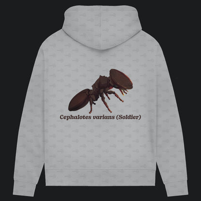 Damen Bio Hoodie mit Seitentaschen | Schildkrötenameise Cephalotes varians soldier