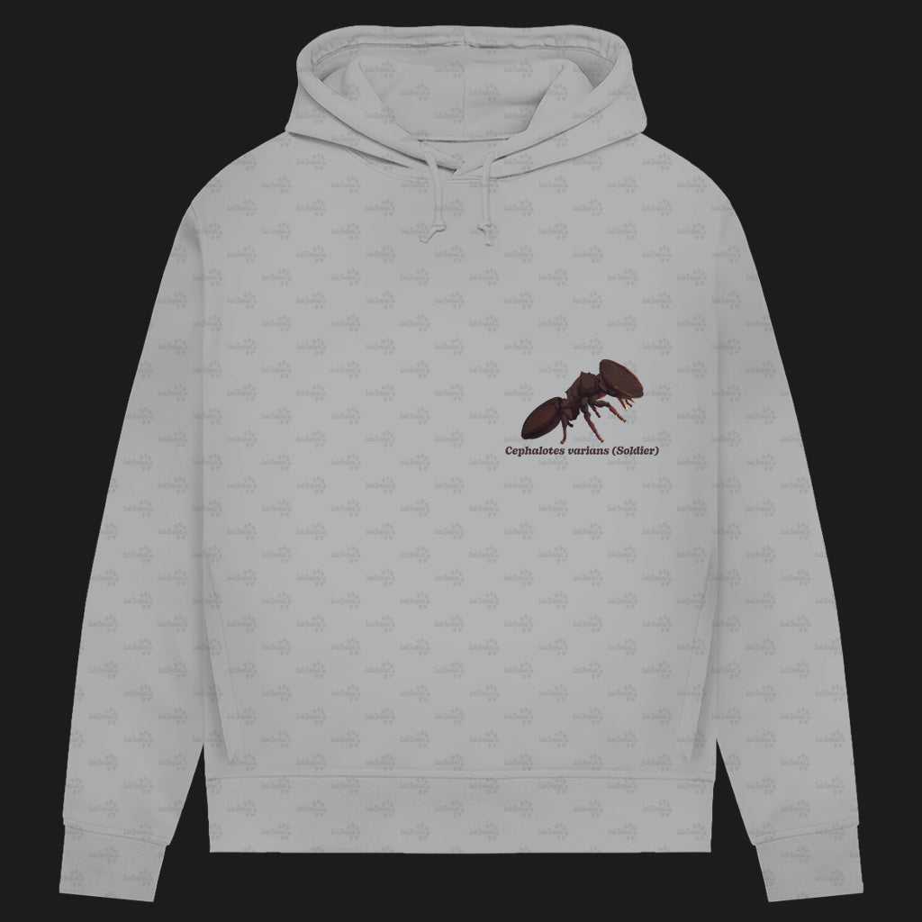 Damen Bio Hoodie mit Seitentaschen | Schildkrötenameise Cephalotes varians soldier