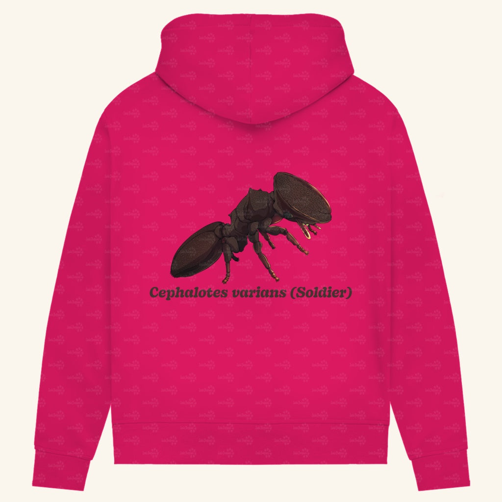 Damen Bio Hoodie mit Seitentaschen | Schildkrötenameise Cephalotes varians soldier