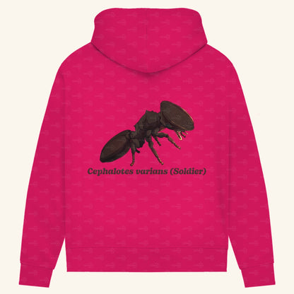 Damen Bio Hoodie mit Seitentaschen | Schildkrötenameise Cephalotes varians soldier