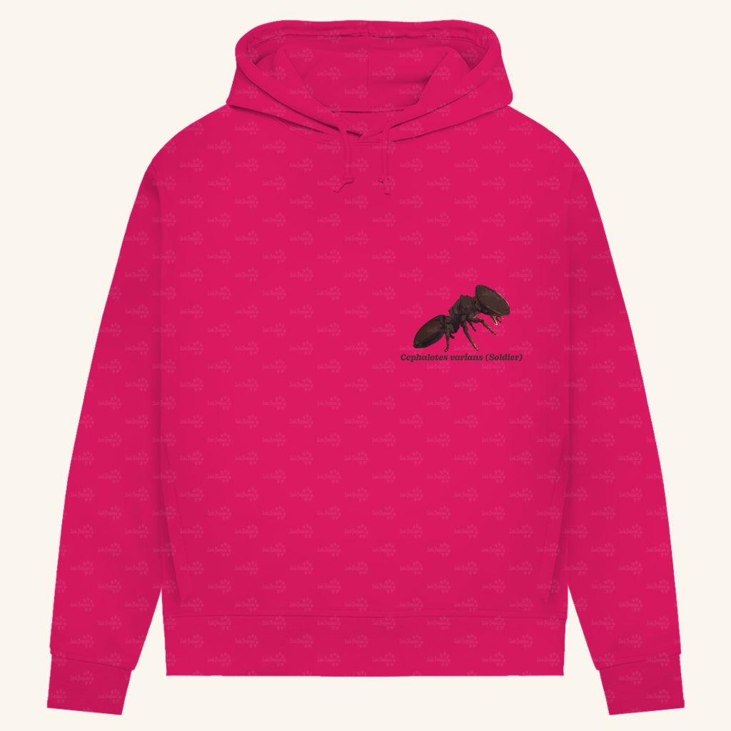 Damen Bio Hoodie mit Seitentaschen | Schildkrötenameise Cephalotes varians soldier