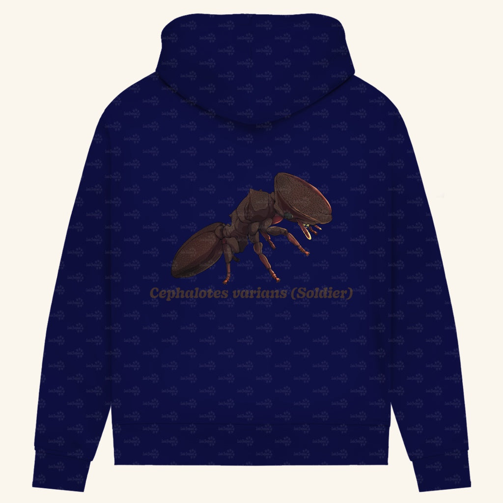 Damen Bio Hoodie mit Seitentaschen | Schildkrötenameise Cephalotes varians soldier