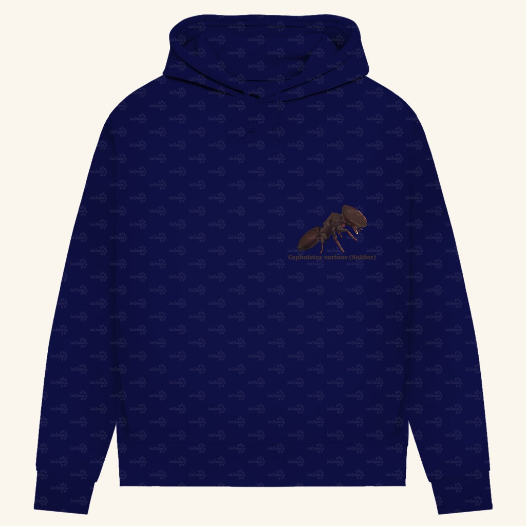 Damen Bio Hoodie mit Seitentaschen | Schildkrötenameise Cephalotes varians soldier