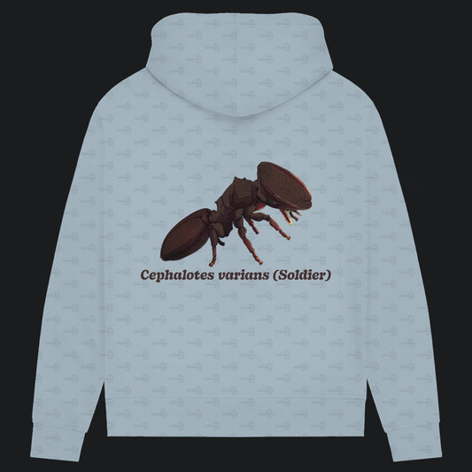 Damen Bio Hoodie mit Seitentaschen | Schildkrötenameise Cephalotes varians soldier