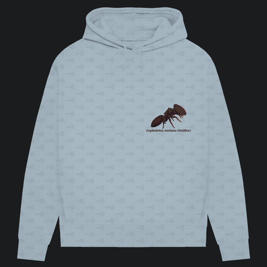 Damen Bio Hoodie mit Seitentaschen | Schildkrötenameise Cephalotes varians soldier