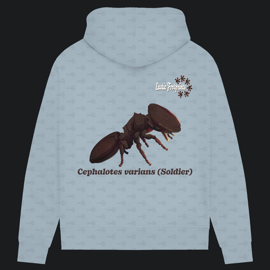 Damen Bio Hoodie mit Seitentaschen | Schildkrötenameise Cephalotes varians soldier