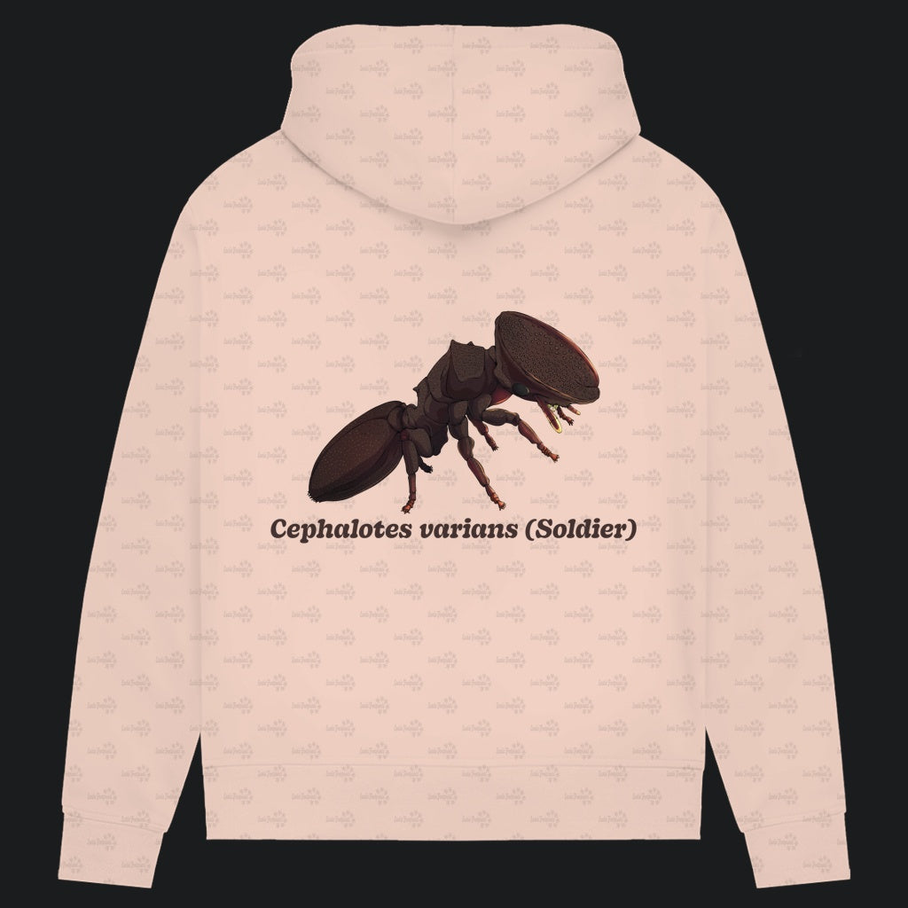 Damen Bio Hoodie mit Seitentaschen | Schildkrötenameise Cephalotes varians soldier