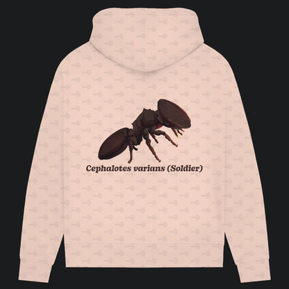 Damen Bio Hoodie mit Seitentaschen | Schildkrötenameise Cephalotes varians soldier