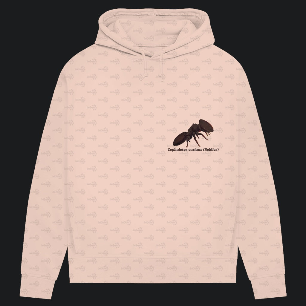 Damen Bio Hoodie mit Seitentaschen | Schildkrötenameise Cephalotes varians soldier