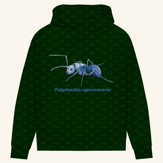Damen Bio Hoodie mit Seitentaschen | Blau schillernde Schuppenameise Polyrhachis cyaniventris