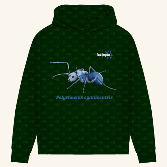 Damen Bio Hoodie mit Seitentaschen | Blau schillernde Schuppenameise Polyrhachis cyaniventris