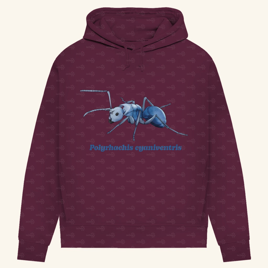 Damen Bio Hoodie mit Seitentaschen | Blau schillernde Schuppenameise Polyrhachis cyaniventris