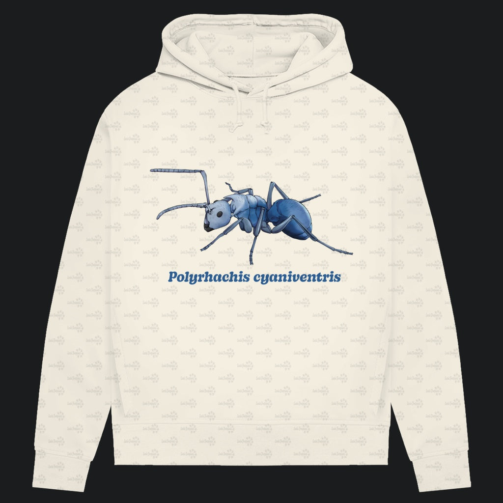 Damen Bio Hoodie mit Seitentaschen | Blau schillernde Schuppenameise Polyrhachis cyaniventris