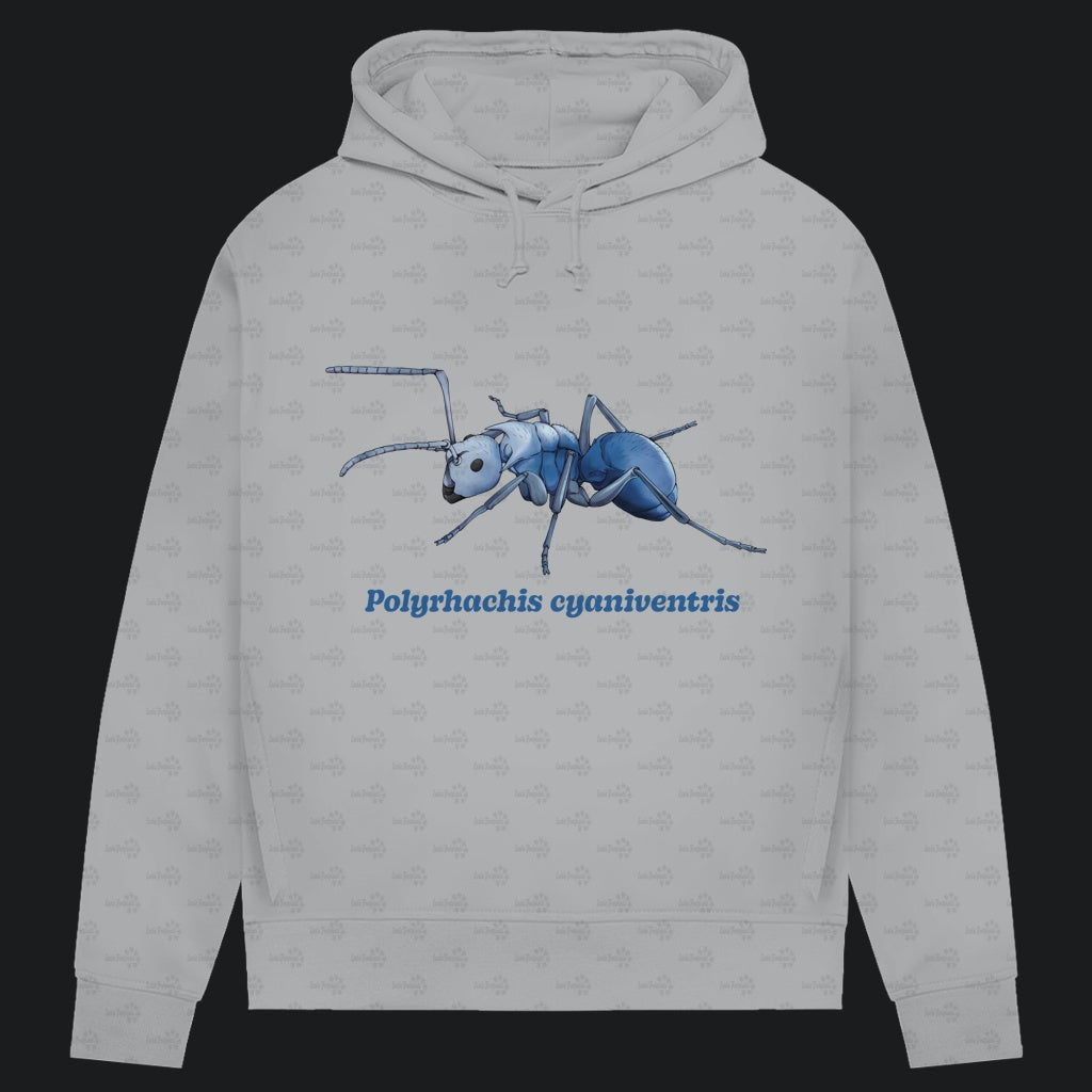 Damen Bio Hoodie mit Seitentaschen | Blau schillernde Schuppenameise Polyrhachis cyaniventris