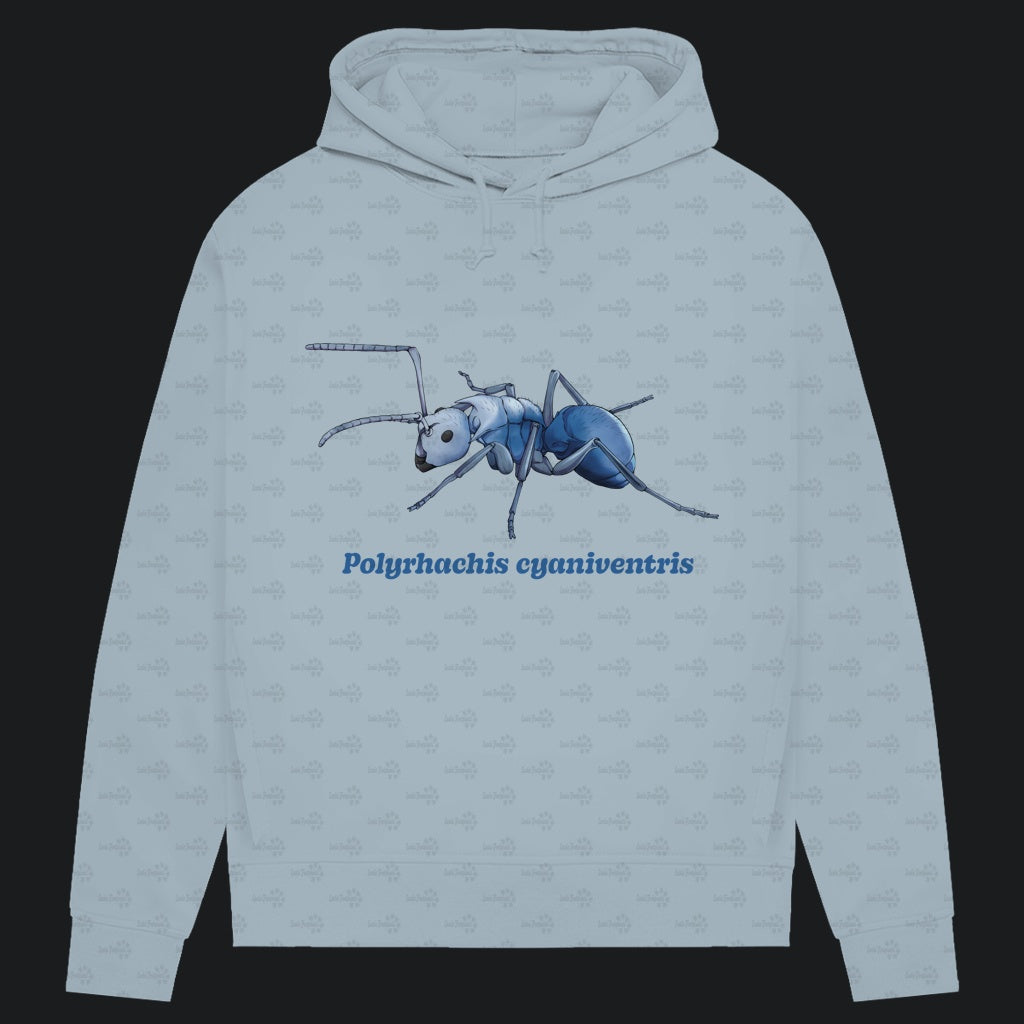 Damen Bio Hoodie mit Seitentaschen | Blau schillernde Schuppenameise Polyrhachis cyaniventris
