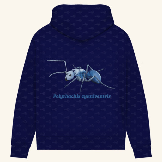 Damen Bio Hoodie mit Seitentaschen | Blau schillernde Schuppenameise Polyrhachis cyaniventris