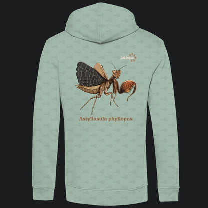 Herren Bio Hoodie mit Seitentaschen | Riesenboxermantis Astyliasula phyllopus