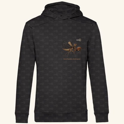 Herren Bio Hoodie mit Seitentaschen | Riesenboxermantis Astyliasula phyllopus