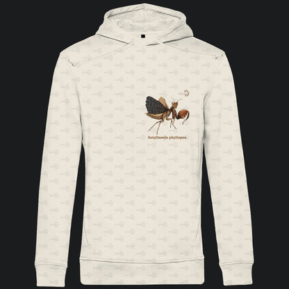 Herren Bio Hoodie mit Seitentaschen | Riesenboxermantis Astyliasula phyllopus