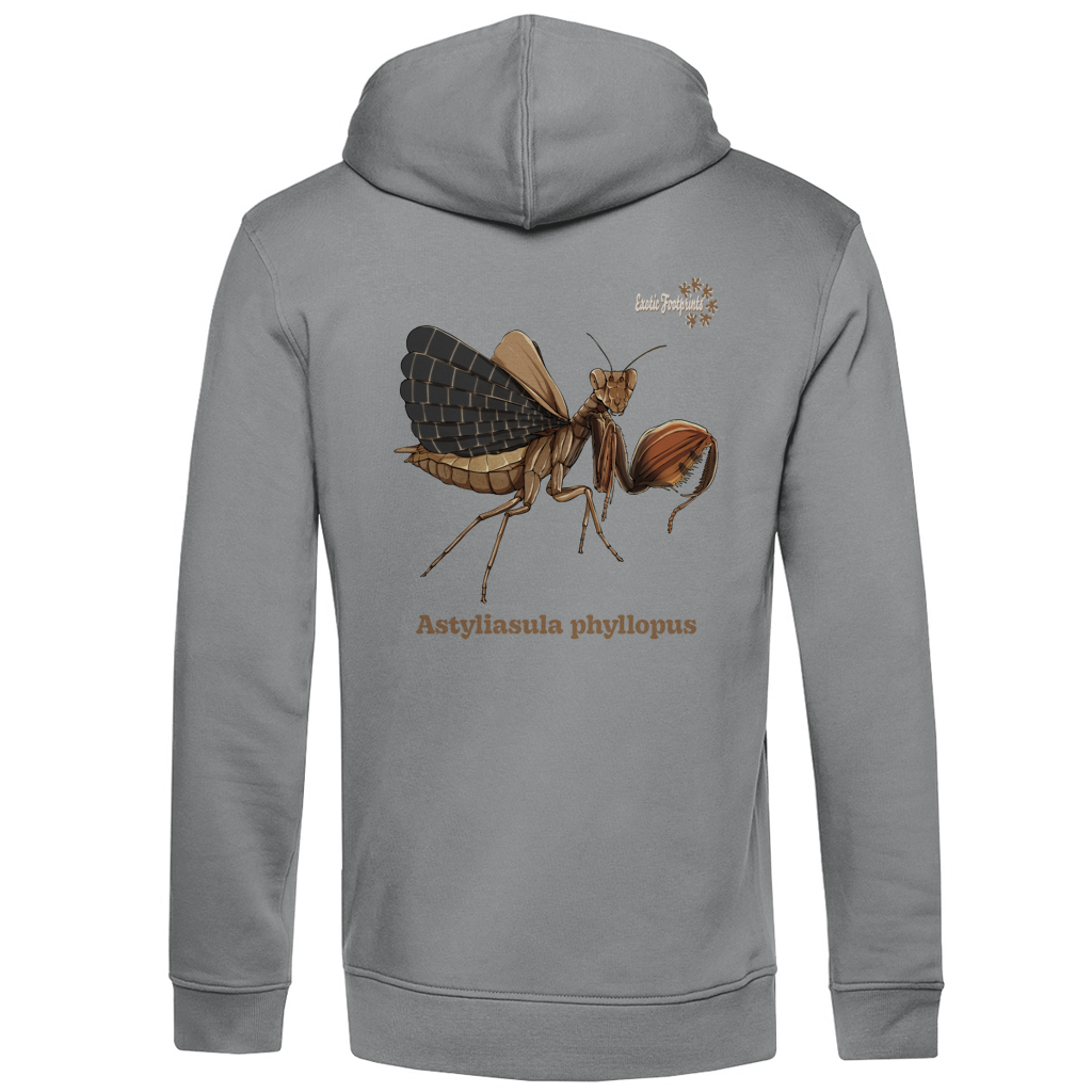 Herren Bio Hoodie mit Seitentaschen | Riesenboxermantis Astyliasula phyllopus