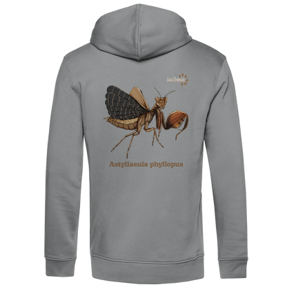 Herren Bio Hoodie mit Seitentaschen | Riesenboxermantis Astyliasula phyllopus
