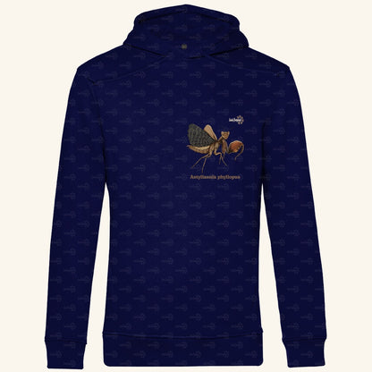 Herren Bio Hoodie mit Seitentaschen | Riesenboxermantis Astyliasula phyllopus