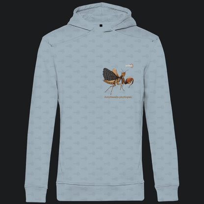Herren Bio Hoodie mit Seitentaschen | Riesenboxermantis Astyliasula phyllopus
