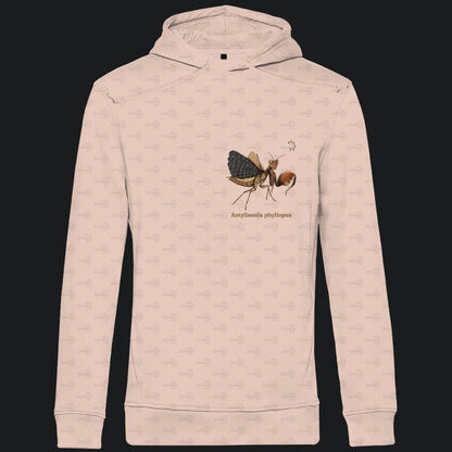 Herren Bio Hoodie mit Seitentaschen | Riesenboxermantis Astyliasula phyllopus