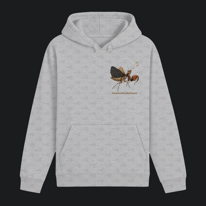 Unisex Bio Hoodie mit Bauchtasche | Riesenboxermantis Astyliasula phyllopus