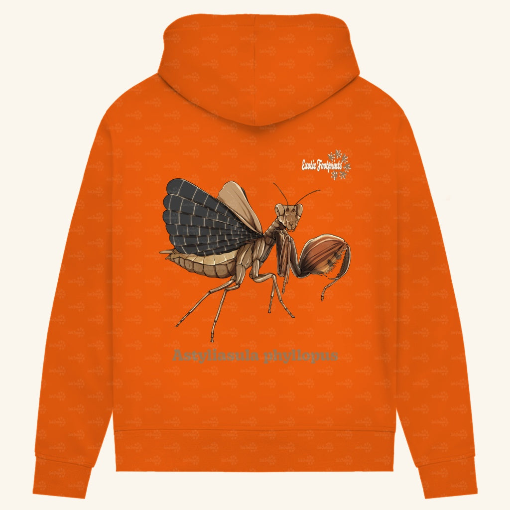 Damen Bio Hoodie mit Seitentaschen | Riesenboxermantis Astyliasula phyllopus