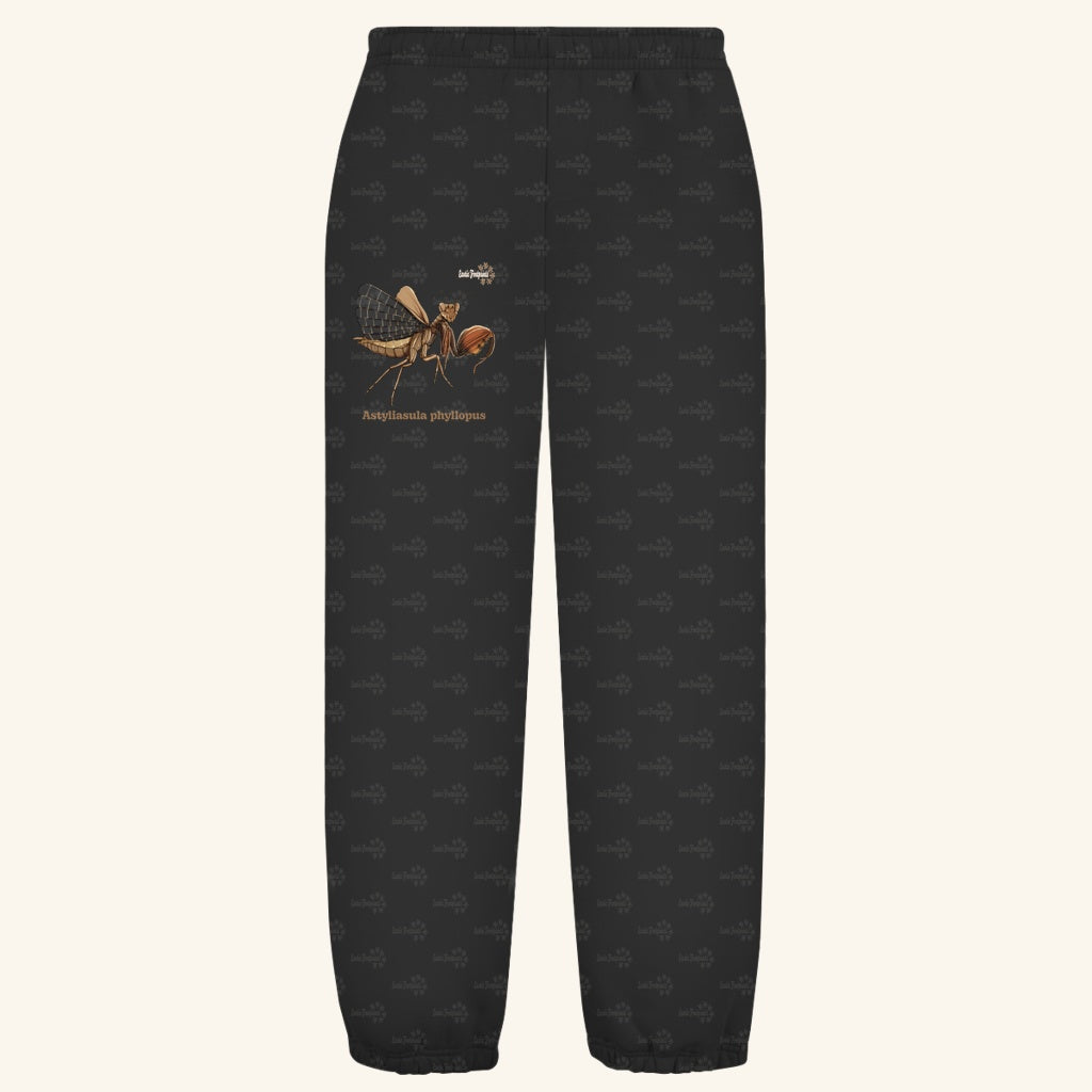Kuschelige Unisex Sweatpants | Riesenboxermantis Astyliasula phyllopus
