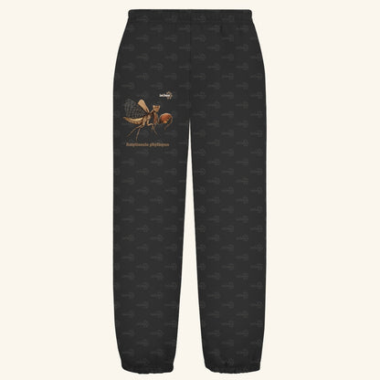 Kuschelige Unisex Sweatpants | Riesenboxermantis Astyliasula phyllopus
