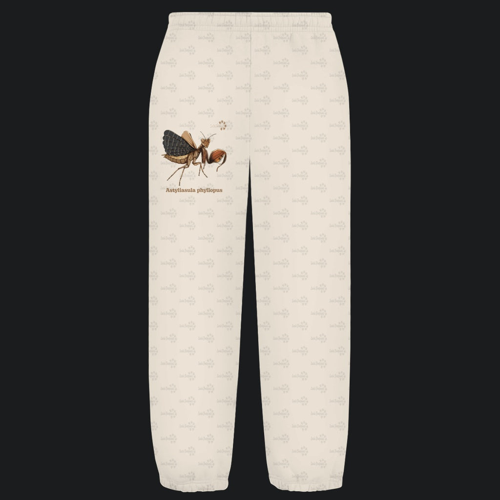 Kuschelige Unisex Sweatpants | Riesenboxermantis Astyliasula phyllopus