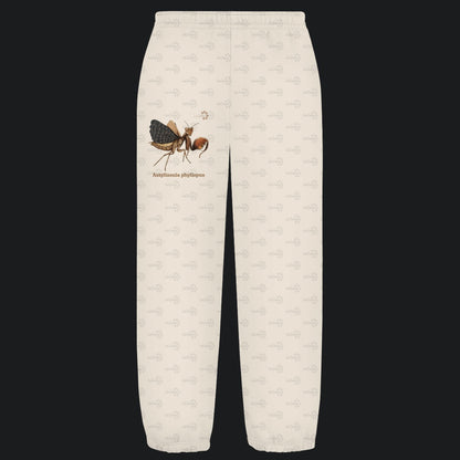 Kuschelige Unisex Sweatpants | Riesenboxermantis Astyliasula phyllopus