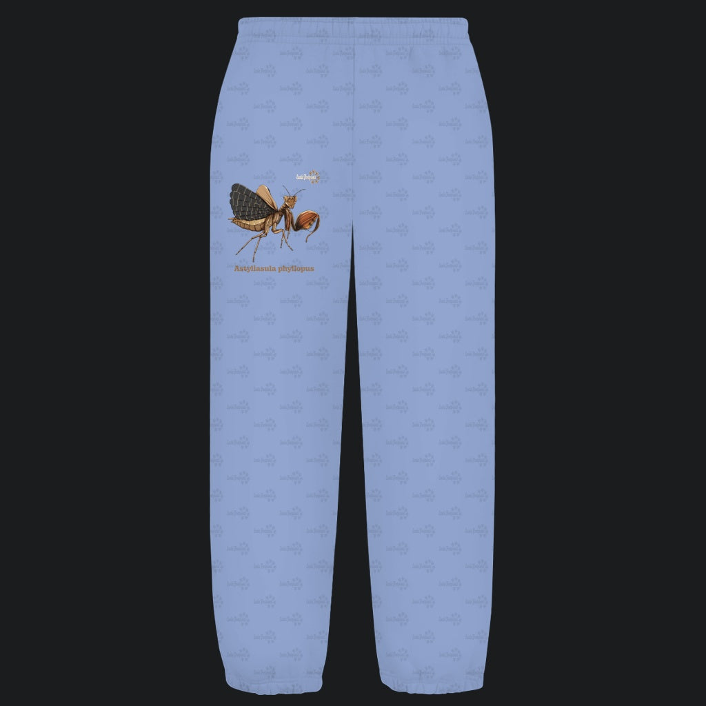Kuschelige Unisex Sweatpants | Riesenboxermantis Astyliasula phyllopus